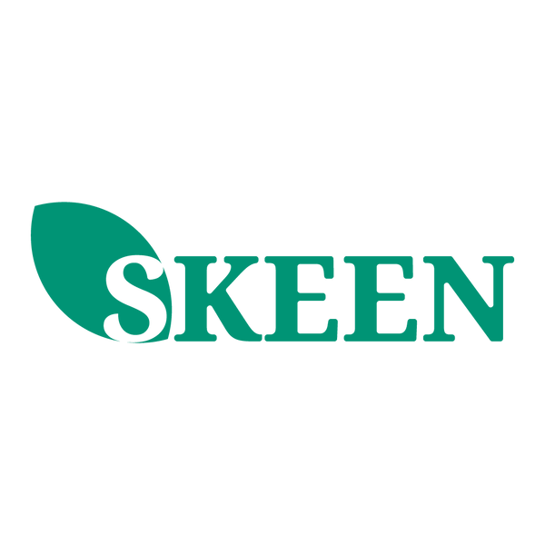 skeen.ro